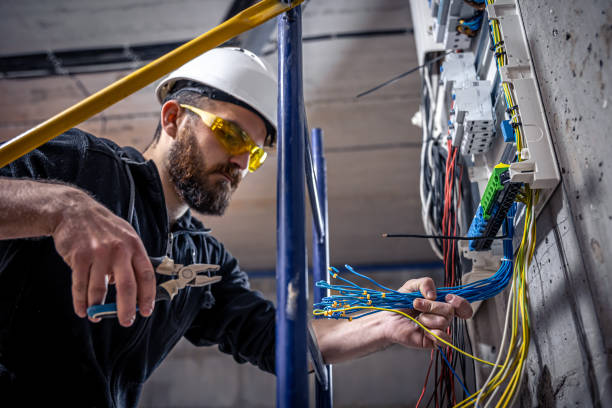 Best Electric Panel Repair  in Logan, IA